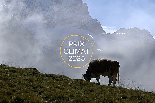 Une vache à l'alpage avec logo du Prix Climat.