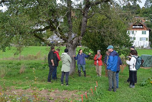 [Translate to Französisch:] Un groupe de personnes se tient devant un grand et vieil arbre fruitier, une femme gesticule et explique.  