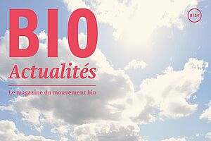 Page de couverture du Bioactualités 8|24: L'essai DOK avec différentes cultures/systèmes de culture côte à côte.