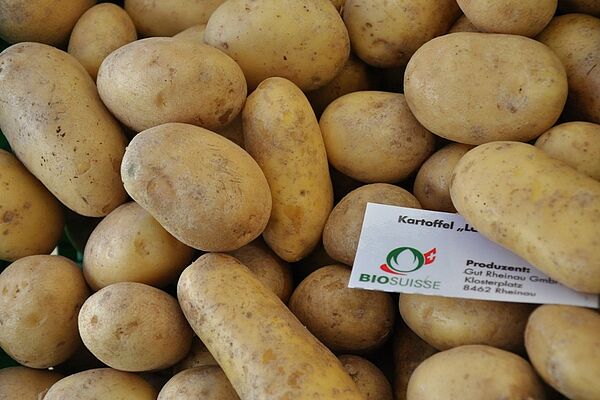 Pommes de terre avec une étiquette Bio Suisse. 