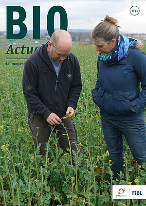 Page de couverture du Bioactualités 4|24: Un homme et une femme se tiennent dans un champ et observent les plantes de plus près.