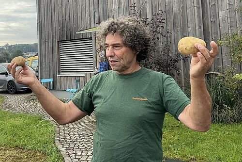 Un homme présente deux pommes de terre, une dans chaque main.