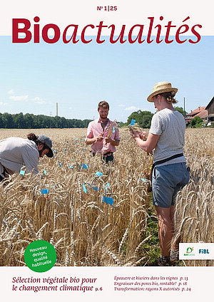 Page de couverture du Bioactualités 1|25: Trois personnes dans un champ de céréales.