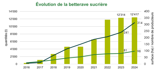 Graphique evolution de betteraves sucrières bio en 2024