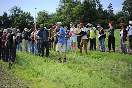 Un groupe de personnes se tient dans un champ de plants de pois chiches verts et écoute un agriculteur.