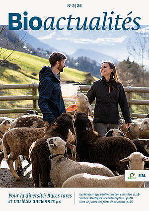 Page de couverture du Bioactualités 2|25: Un homme et une femme entourés de moutons.