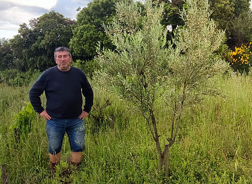 Alain Malard pose dans les vignes.