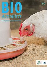 Page de couverture du Bioactualités 5|24: Gros plan sur une poule à un distributeur automatique de nourriture. 