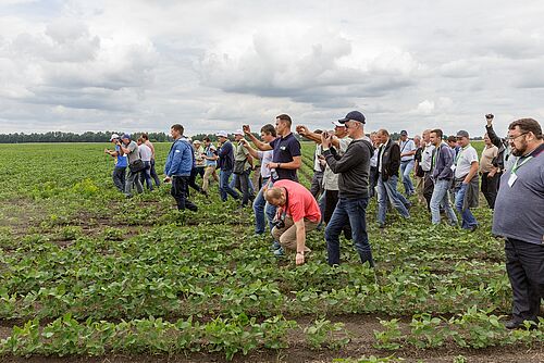 Un groupe d'environ 30 personnes se promène dans un champ, certaines sont photographiées avec leurs téléphones portables.