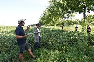 Plusieurs personnes se tiennent dans un champ le long d'une rangée de jeunes et grands noyers. Un homme parle et gesticule.