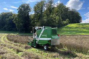 Suessfenchelfeld, darauf ein gruener Parzellenmaehdrescher