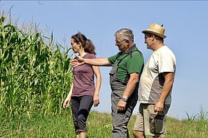 Trois personnes se tiennent devant un champ de maïs, l'une d'entre elles montre du doigt la culture et explique quelque chose aux deux autres.