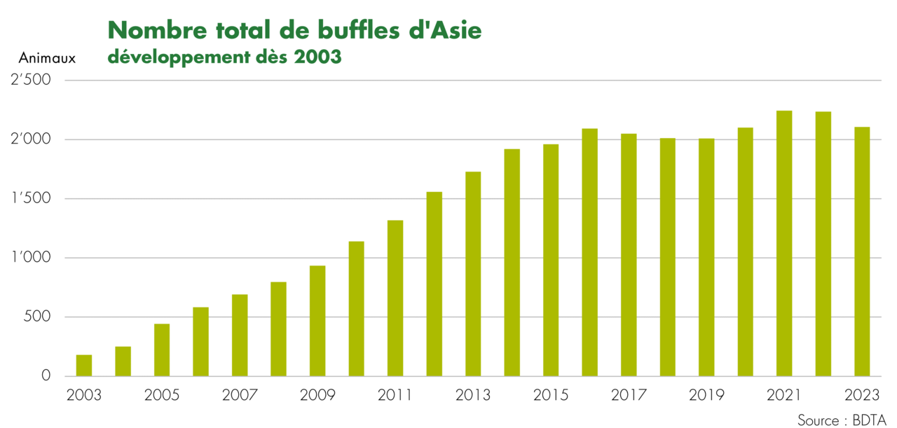 nombre buffles d'Asie 2023